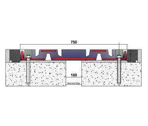 TRANSFLEX-2